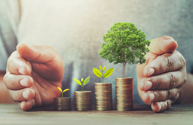Mutual Fund