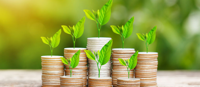 Growth Fund